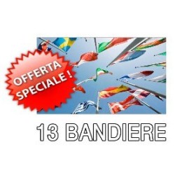 100% Silky Polyester Flags